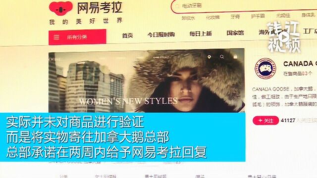 “网易考拉加拿大鹅涉假风波”追踪:杭州监管部门已受理投诉