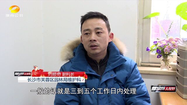 春节我在岗ⷠ长沙园林工人24小时职守