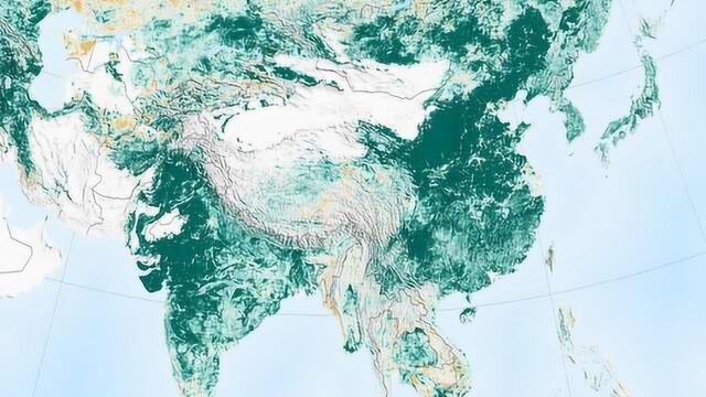 世界权威期刊:地球比20年前更加绿色了,中国走在前列