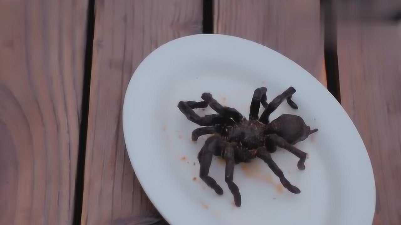 霸道总裁请白富美吃饭竟然让白富美吃蝎子和蜘蛛好残忍啊