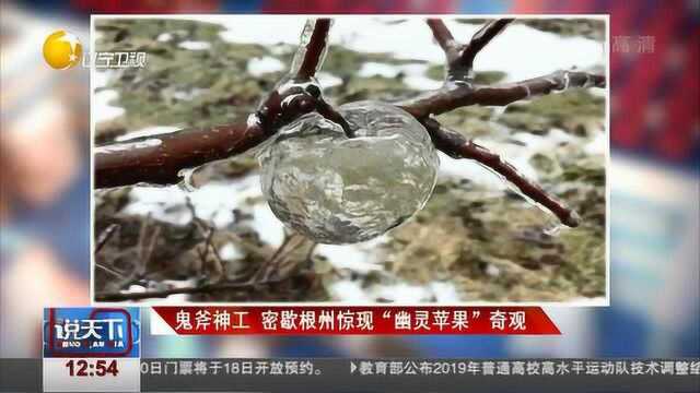 美国密歇根州现“幽灵苹果”,速来围观