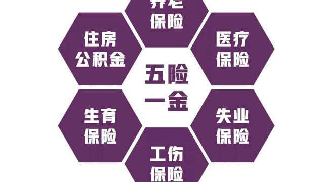 公司缴纳的五险一金中的一金,究竟有多重要呢?