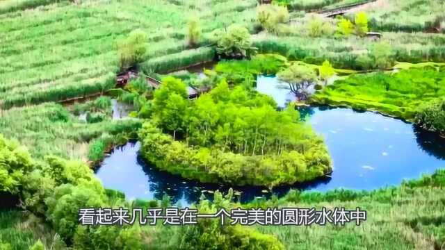 漂浮旋转岛到底是怎么一回事?自然界真的是太神奇了!