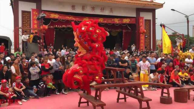 湛江农村搞年例,各种精彩节目轮番上阵,叠凳子舞狮太惊险了