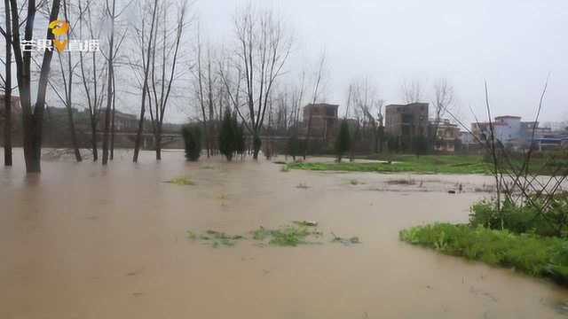 永州新田最大过程雨量为91mm,各部门履行职责严加防范