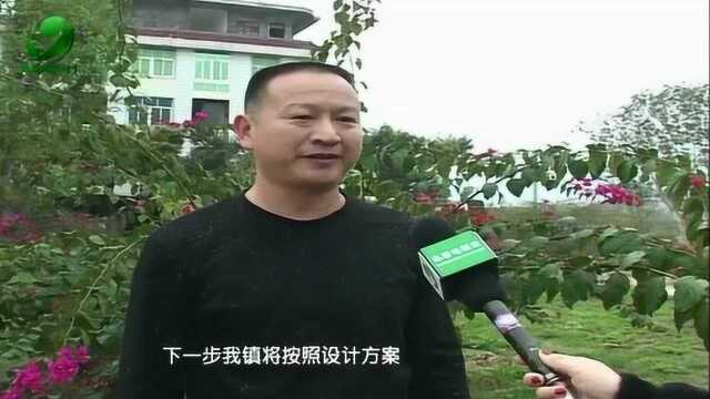 湖洋镇:加快推进宜居乡镇建设