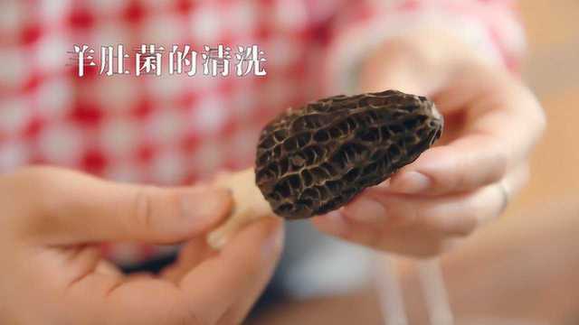 羊肚菌怎么清洗更好?