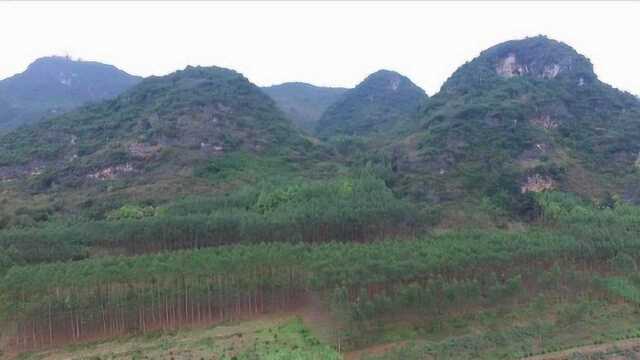 南宁山村的虎头山“猛虎出山”风水宝地,明眼人能看出这里风水如何