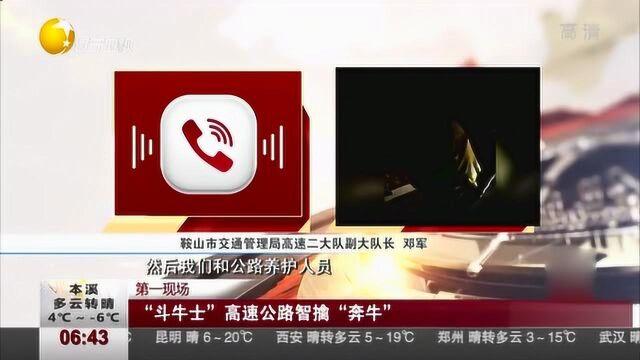 鞍山:“斗牛士”高速公路智擒“奔跑的牛”