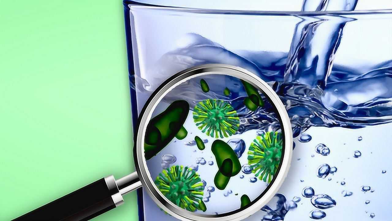在显微镜下看了自来水中的微生物吓得我再也不敢直接喝凉水了
