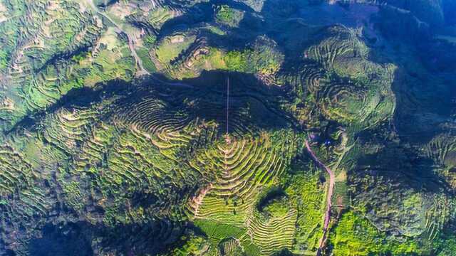 《态度》之谢建明—眉毛高山 有机禅茶