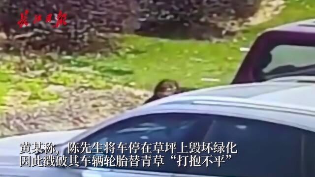 为小区青草“打抱不平”,可你这样做真的不对啊!