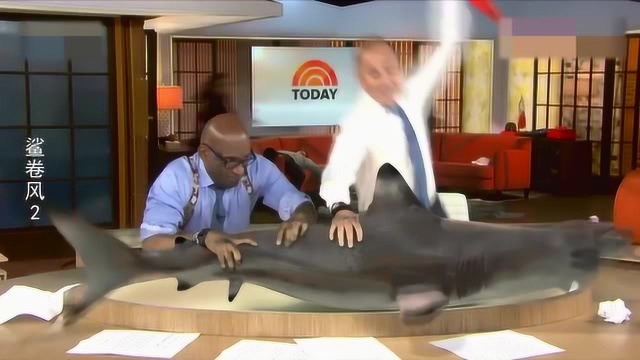 老爷子自制绞鲨机,轻而易举的将鲨鱼砍成几段,看得真爽