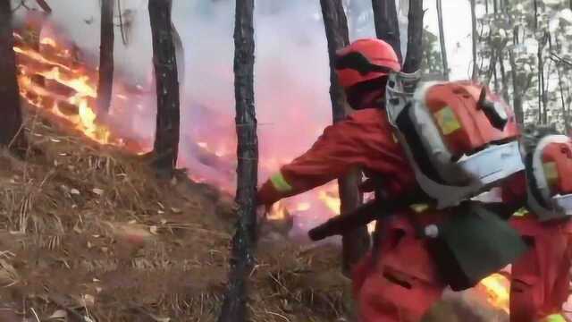 四川凉山火灾最新情况:过火面积19公顷、490人扑救