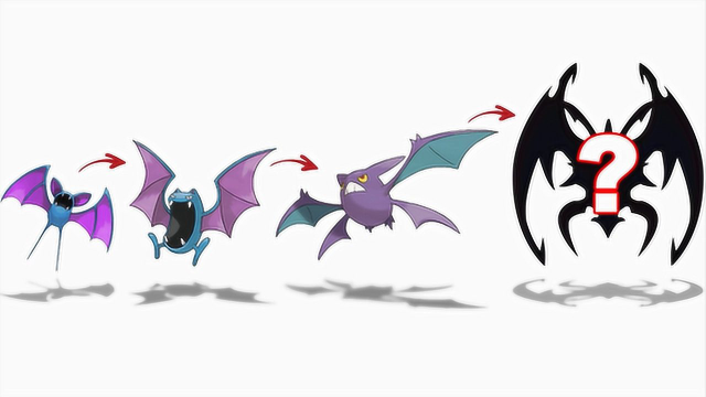 宠物小精灵新进化形态超音蝠mega进化会怎样最后超酷炫