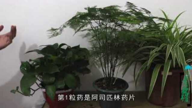 2粒“白片”扔盆中,对植物生长有“妙用”,这3种植物都适用