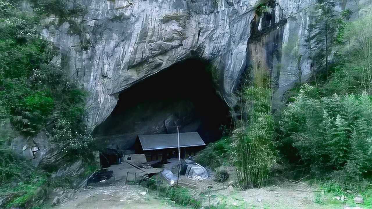 贵州一户人家隐居山洞几代人还在洞里养了几十头猪与世无争