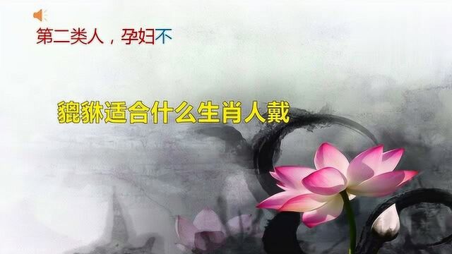 貔貅适合什么生肖的人戴?