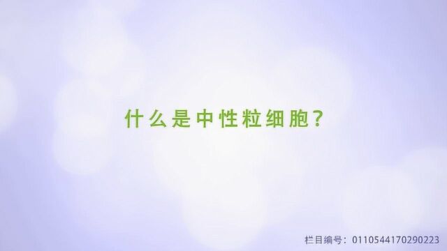 什么是中性粒细胞,你知道吗?