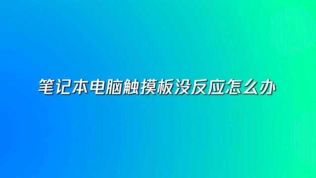 笔记本电脑触摸板没反应怎么办?