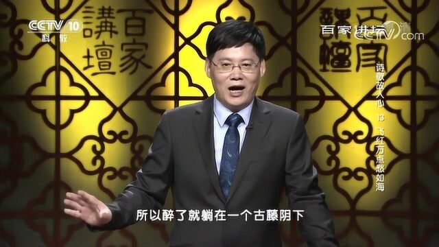 百家讲坛:飞红万点愁如海,黄庭坚的突发灵感