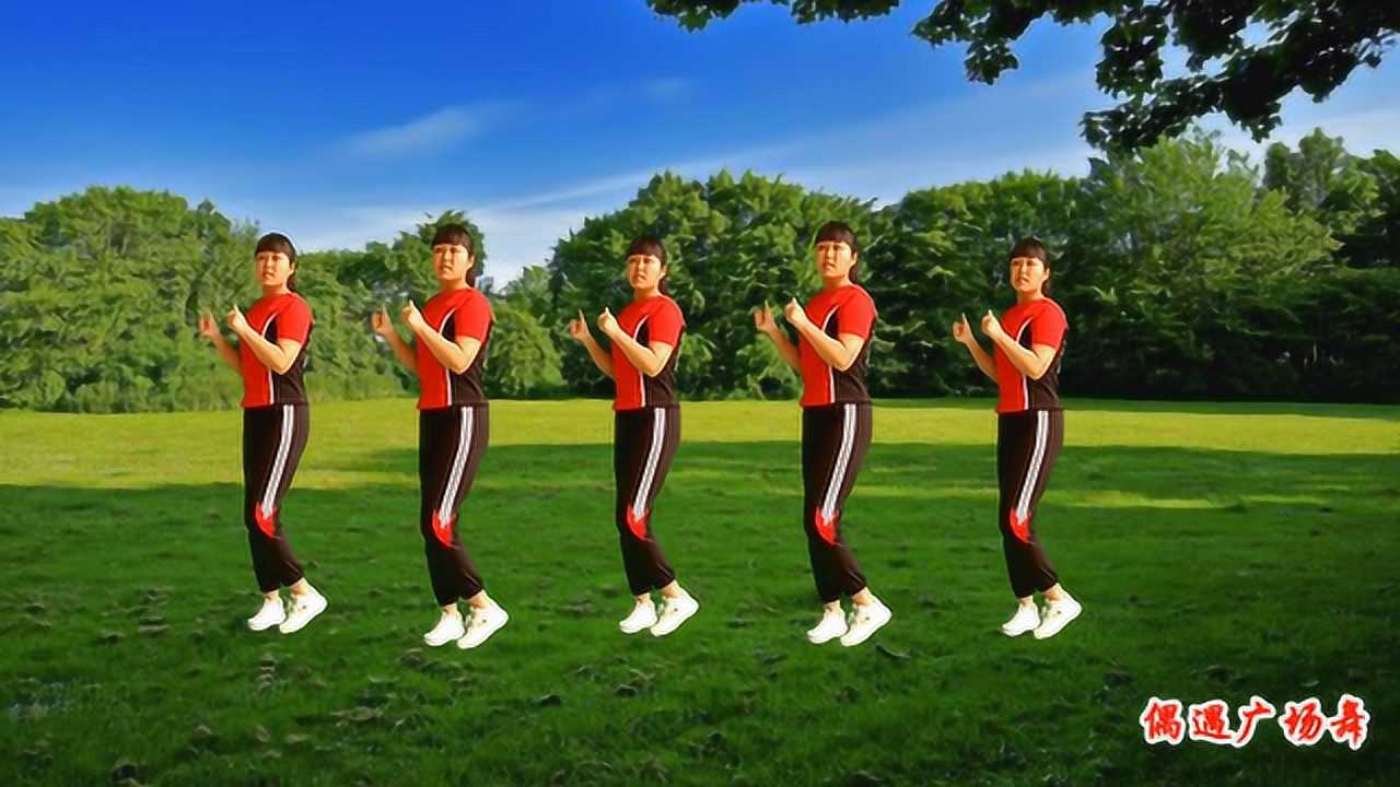 简单好看广场舞《情花毒》自由步子舞32步附分解