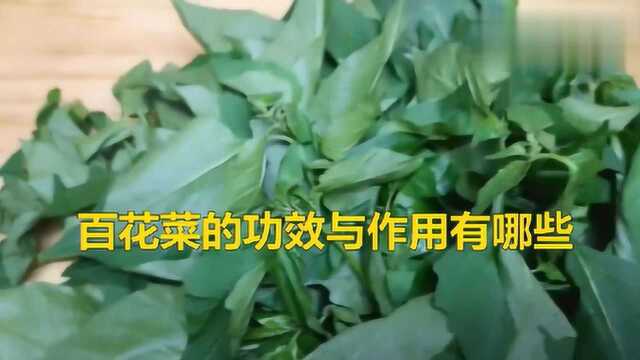 百花菜的功效与作用有哪些