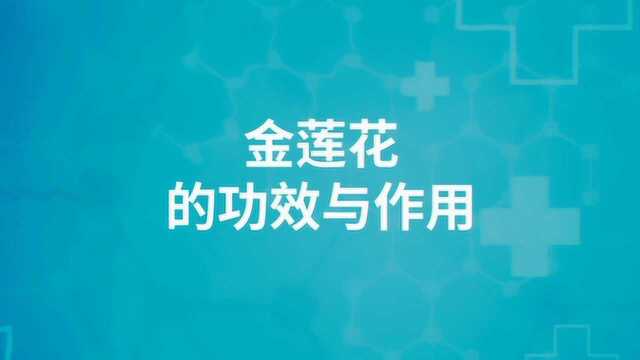 金莲花的功效与作用有哪些?