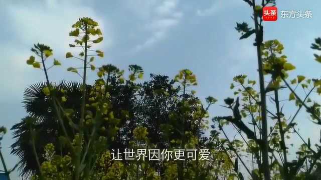 周艳泓《春暖花开》春天的脚步已经来了,听一首关于春天的歌曲