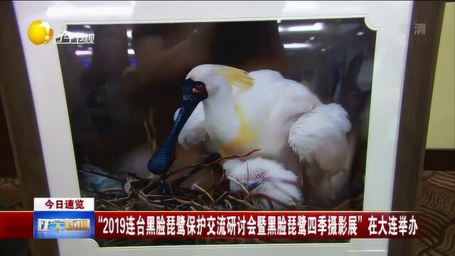 “2019连台黑脸琵鹭保护交流研讨会四季摄影展”在大连举办