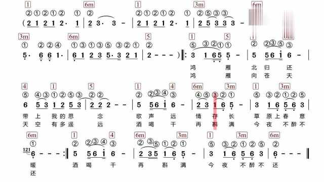 《鸿雁》电子琴有声简谱 带和弦指法