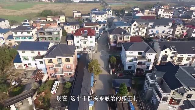 党建治理大花园龙游张王村