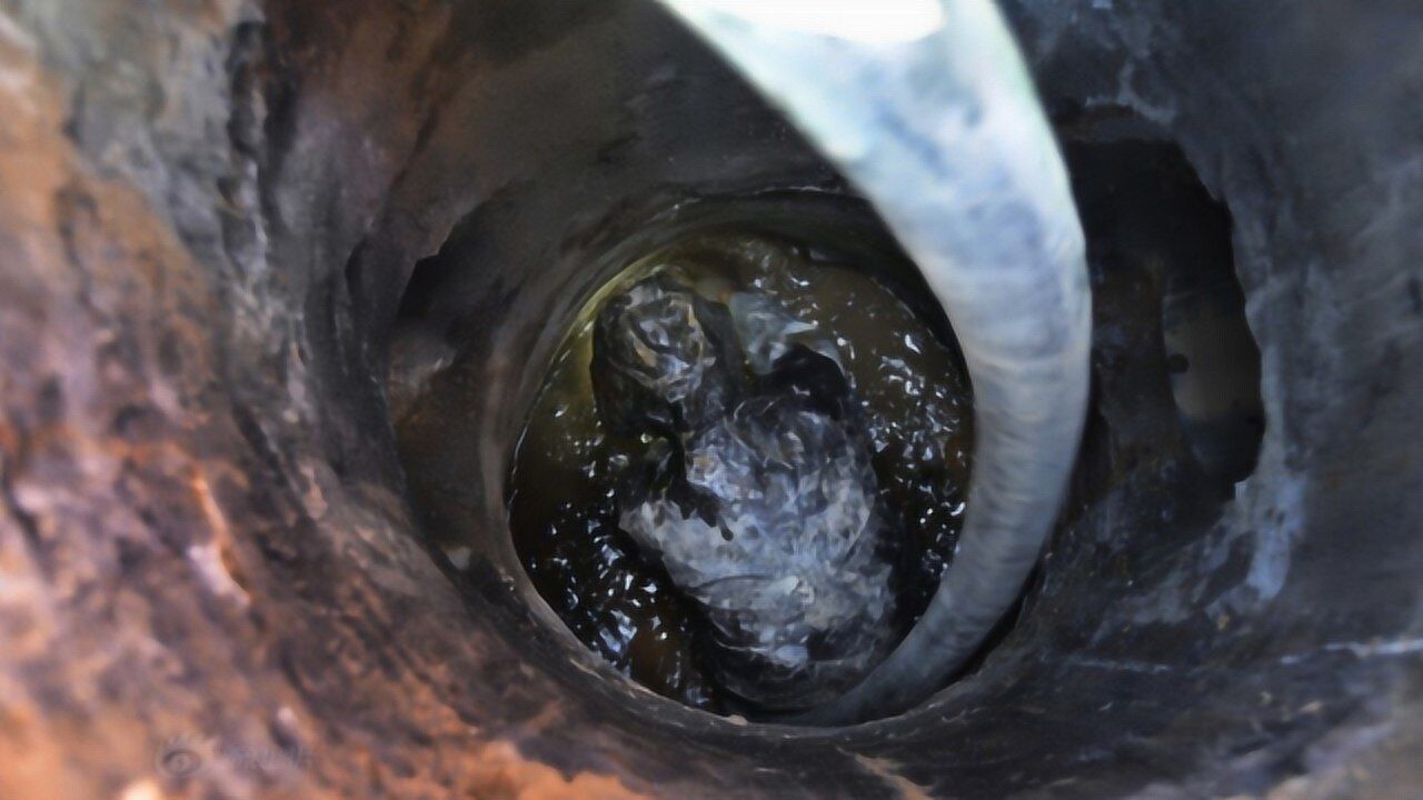 100年枯井发出恶臭,村民怀疑有"脏东西",不料却捞出大家伙