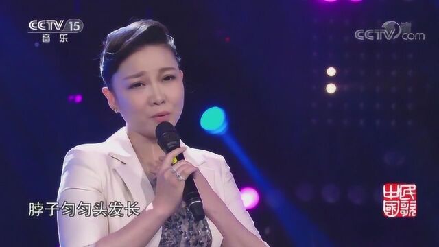 哈萨克族民歌《燕子》 演唱:王莉