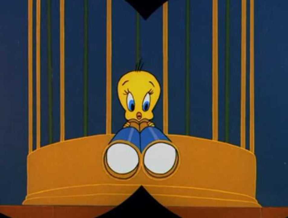 兔八哥傻大猫拿望远镜看崔迪不料崔迪也在看他