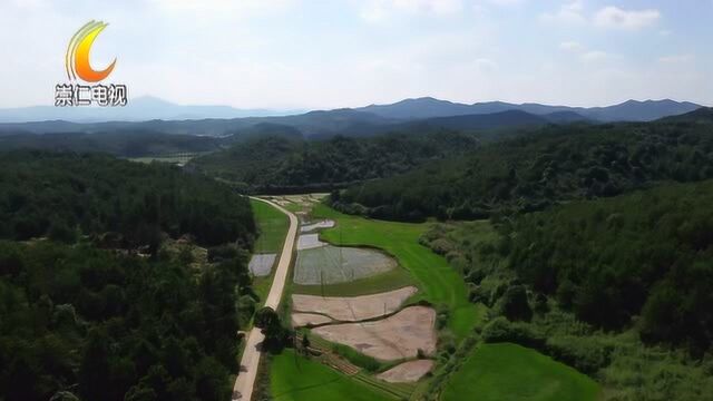 我县守护绿水青山 建设生态崇仁