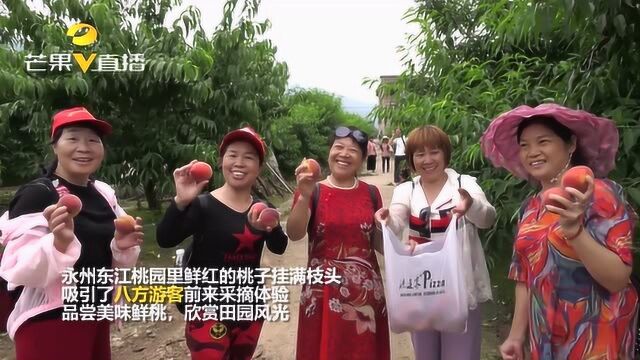 村民精心栽培黄桃树,来年摘得“致富果”,网红桃林等你来打卡!