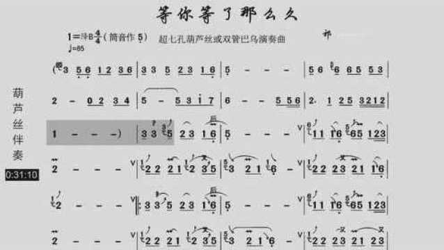 葫芦丝动态简谱《等你等了那么久》,跟随节奏学习音乐,有趣好玩