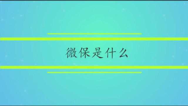 微保有什么特殊意思呢?