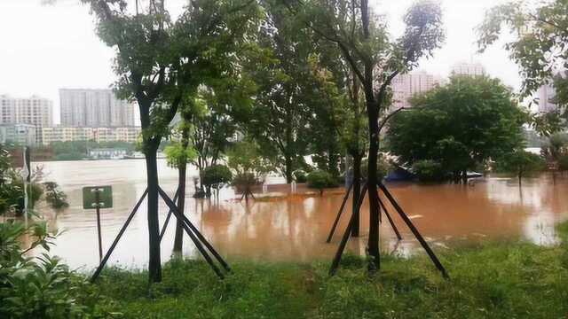 湖南地区连日暴雨,衡阳东洲岛状况如何?