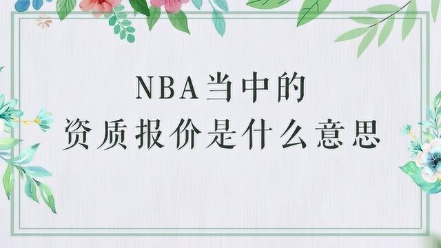 NBA的资质报价是什么意思?