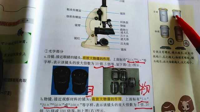 中考生物必考考点:如何正确区分目镜和物镜?