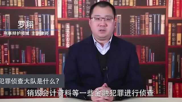 经济犯罪侦查是干什么的