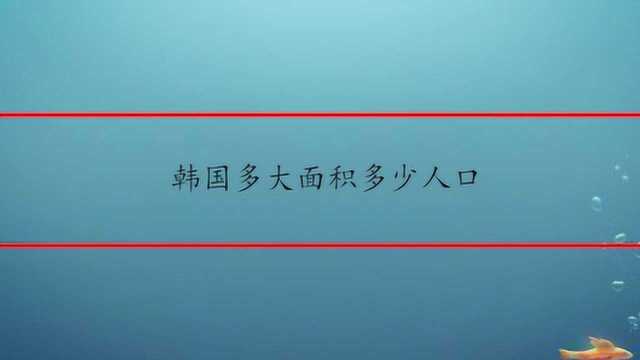 韩国多大面积多少人口