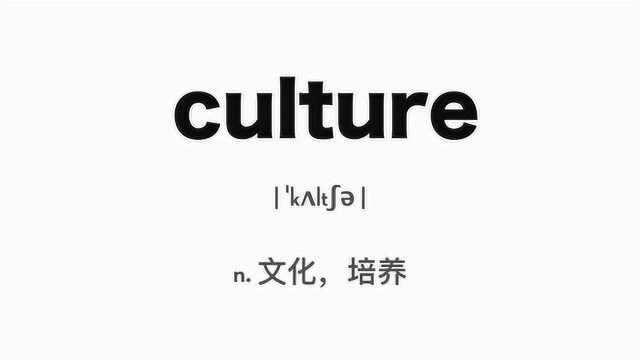 贱贱有词,culture