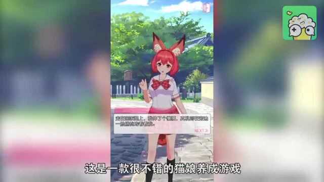 《猫灵相册》喵娘来袭这游戏竟然还有公猫!