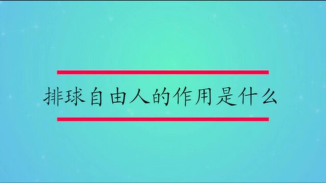 排球自由人的作用是什么