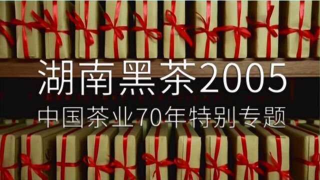 中国茶业70年特别专题:湖南黑茶2005(上)