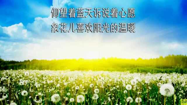 歌曲仰望蓝天欣赏