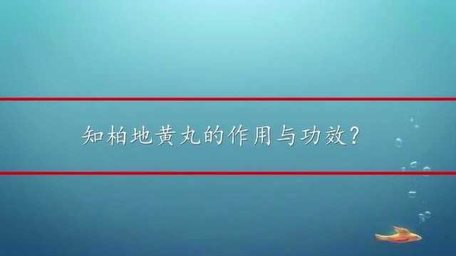 知柏地黄丸的作用与功效?